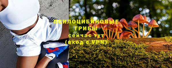 прущие крисы Медногорск
