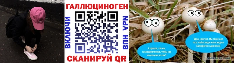 гидра ссылки  Щучье  Псилоцибиновые грибы прущие грибы 